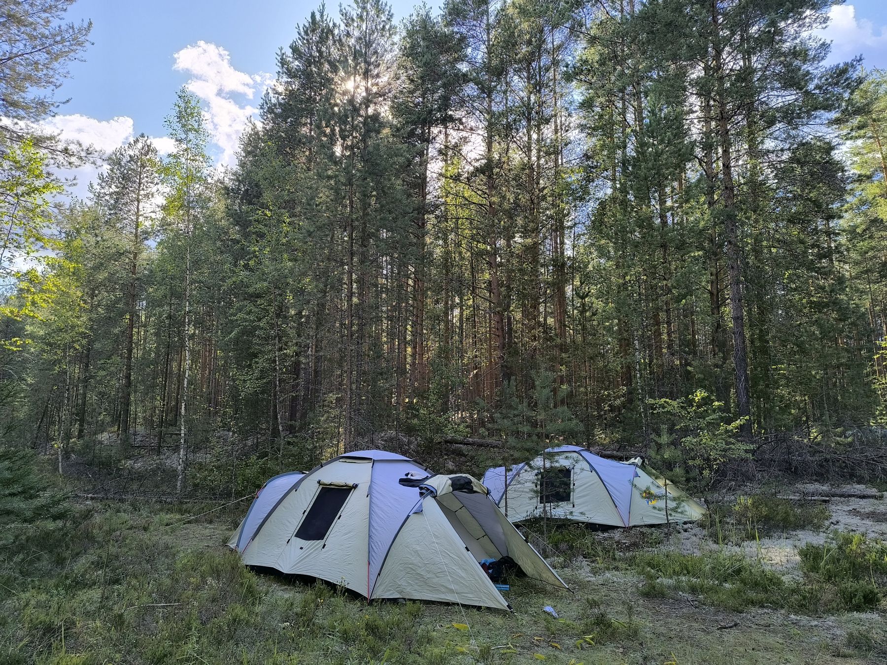 Зов Севера. Коллекция Приключений – детская программа, Костромская обл., Нейский р-н. Путевки на детские программы на 2026 год, фото размещения 6