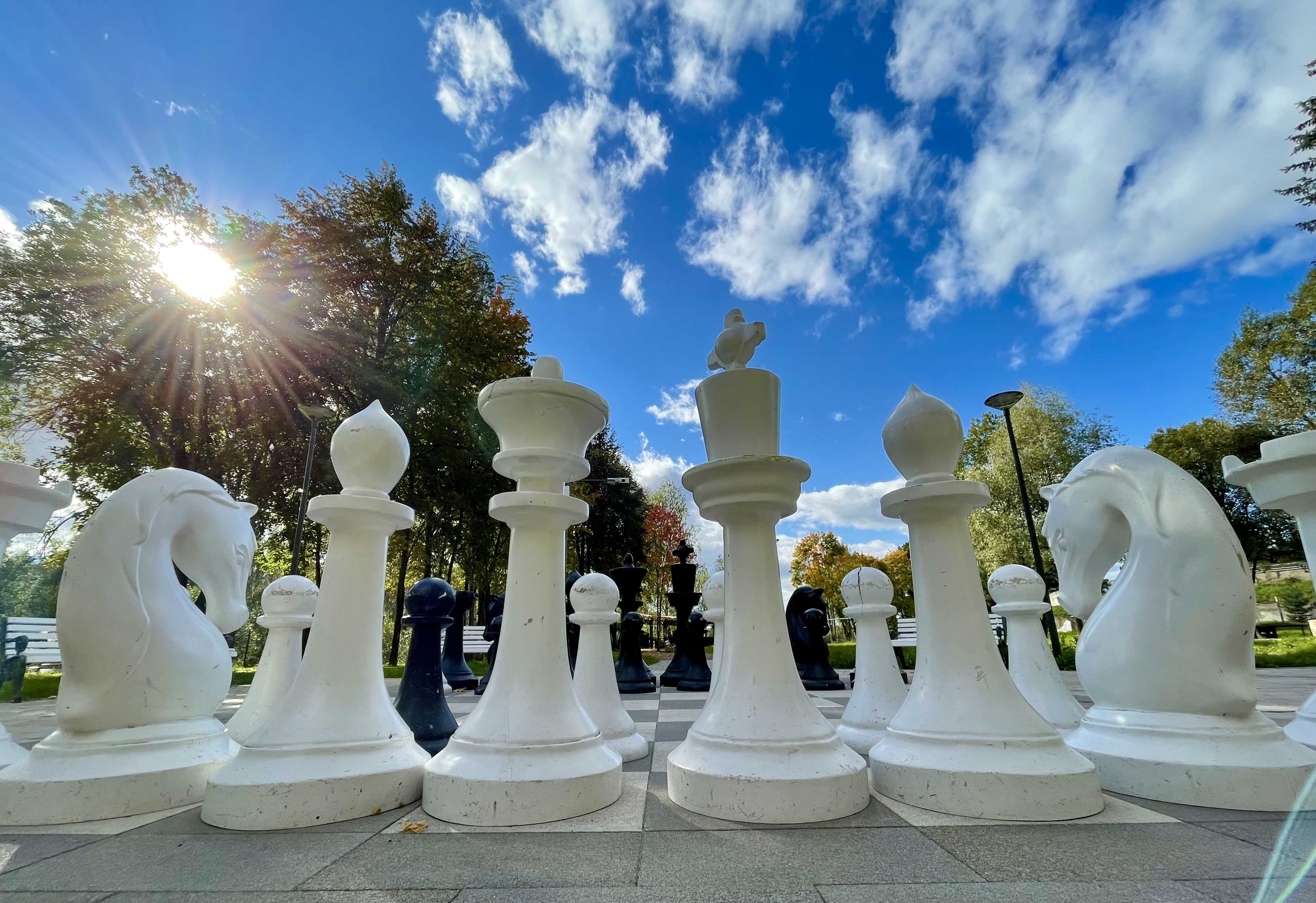 «Русская шахматная школа» – интеллектуальный лагерь, фото размещения 12