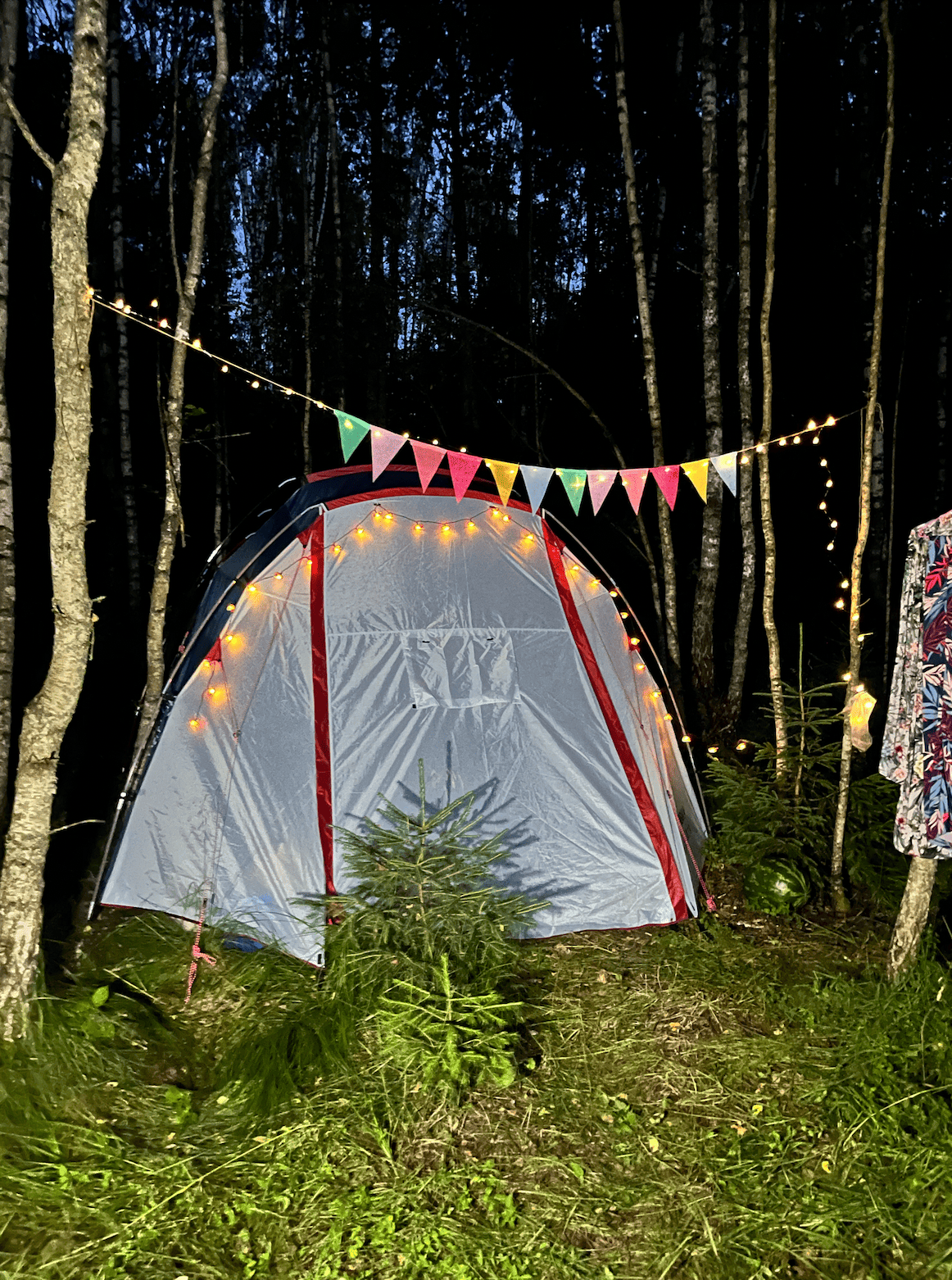 Экологика – туристический лагерь, Калужская область, Калуга. Путевки в детский лагерь на 2026 год, фото программы 14