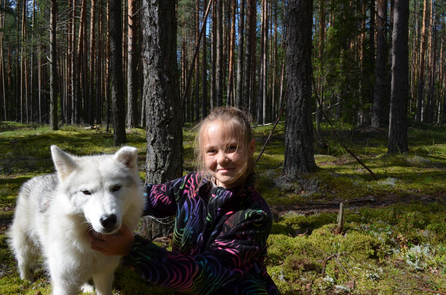 Зов Севера. Верное сердце. Коллекция приключений – детская программа, Костромская обл., Литвиново. Путевки на детские программы на 2026 год, фото программы 1