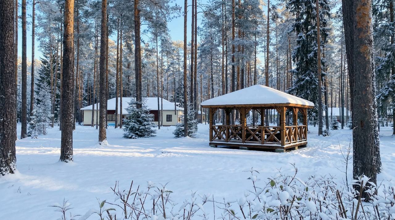 Яркие каникулы в Ленинградской области – детский лагерь, Ленинградская обл., Выборгский р-н. Путевки в детский лагерь на 2026 год, фото размещения 14
