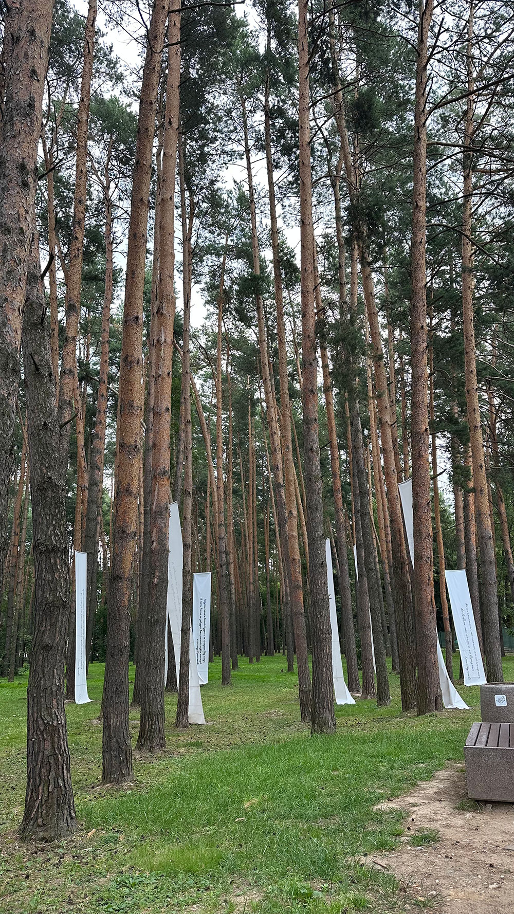 Сборы по плаванию SwimRocket в Домодедово – детская программа, Московская обл., Домодедово. Путевки на детские программы на 2026 год, фото размещения 8