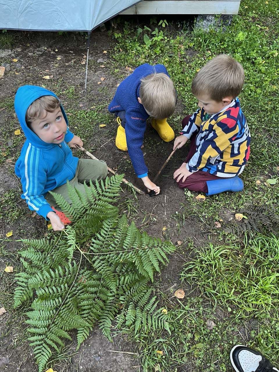 Экологика. Полевой практикум на Экостанции Угра – детская программа, Калужская область, Калуга. Путевки на детские программы на 2026 год, фото программы 10