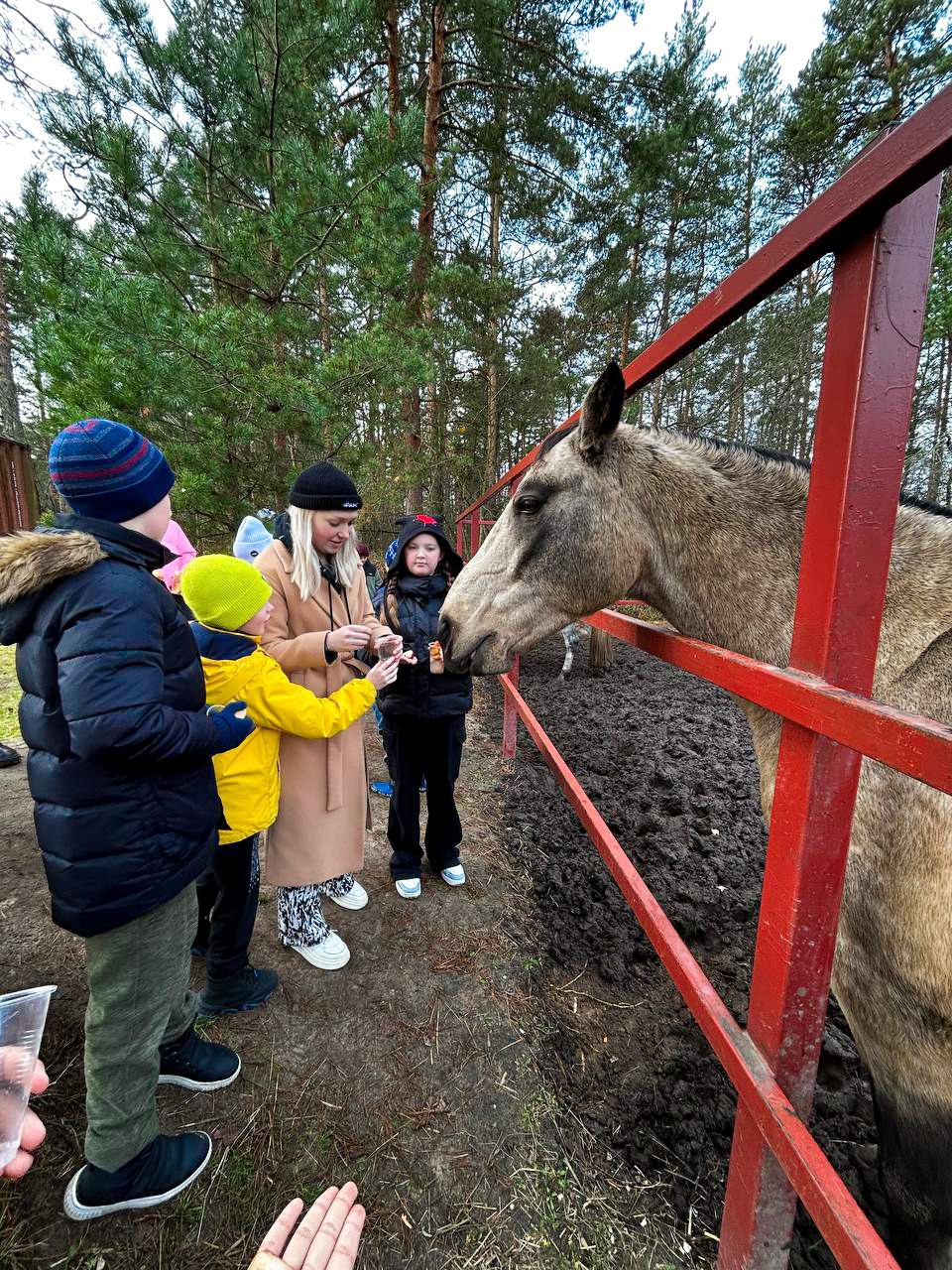 «VIL Camp Время новых открытий», Московская обл., Мытищинский р-н – 2.