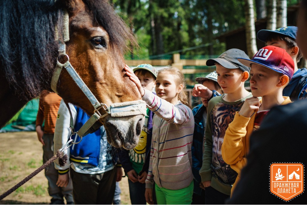 «Оранжевая Планета» – Детский лагерь в Ленинградской области, фото 2
