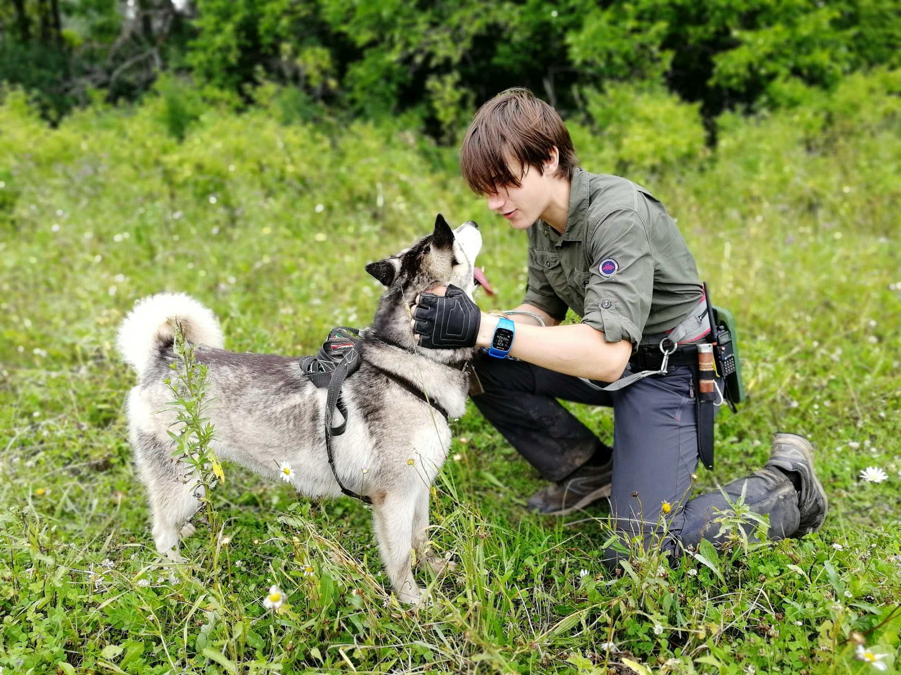 Зов Севера. Коллекция Приключений – детская программа, Костромская обл., Нейский р-н. Путевки на детские программы на 2026 год, фото программы 2