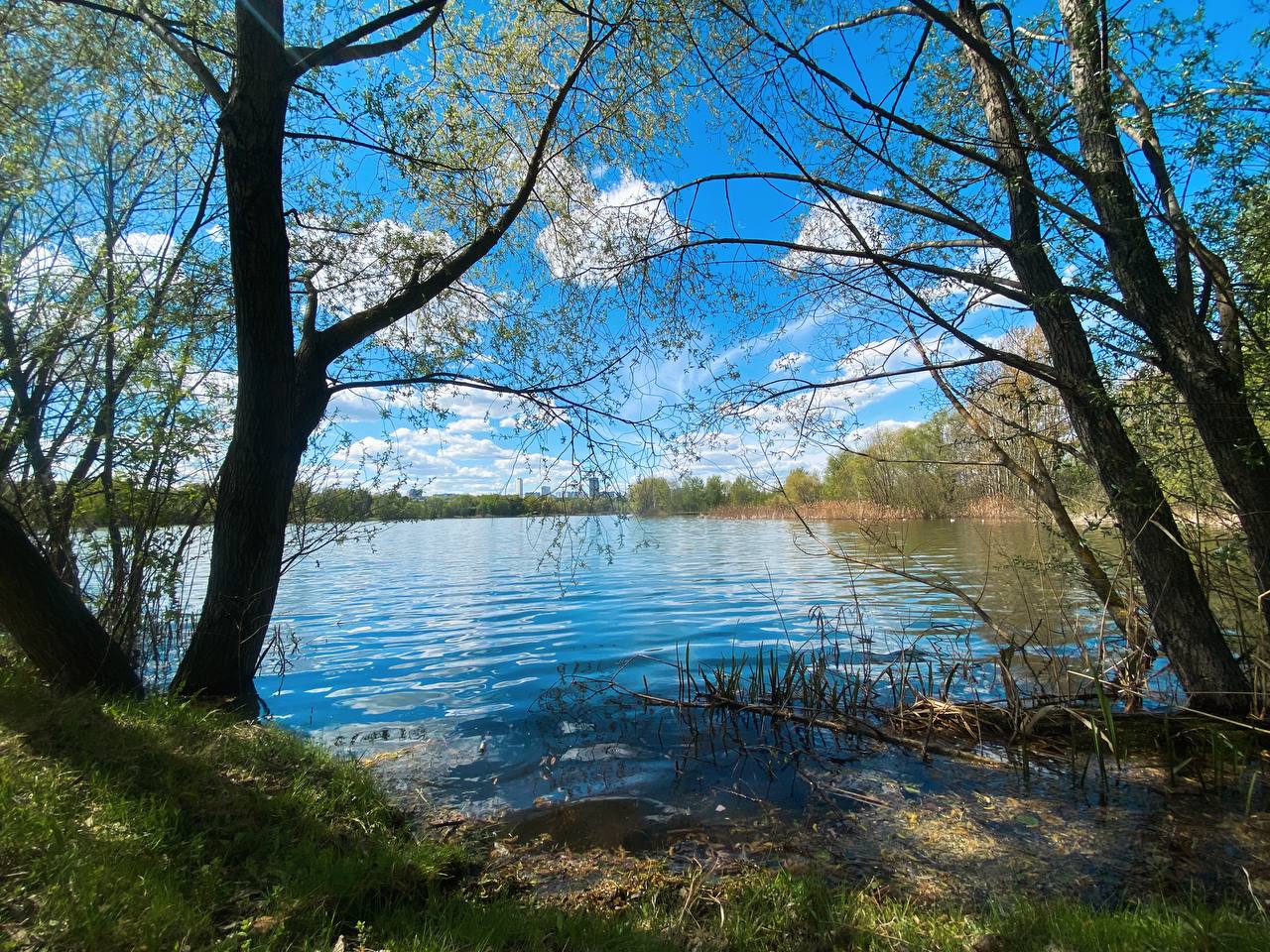 Футбольный лагерь Аякс Крылатское – городской лагерь, Москва, м. Крылатское. Путевки в детский лагерь на 2026-2027 год, фото размещения 14