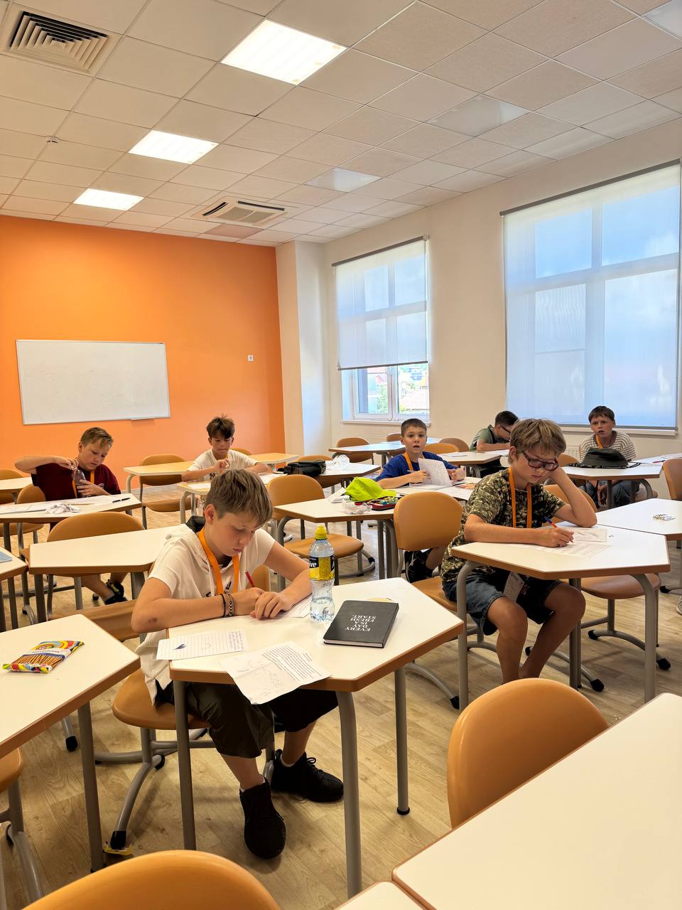 Первая Интеллект школа Корифей + Сириус – образовательный лагерь, Краснодарский край, Сочи. Путевки в детский лагерь на 2026 год, фото 12