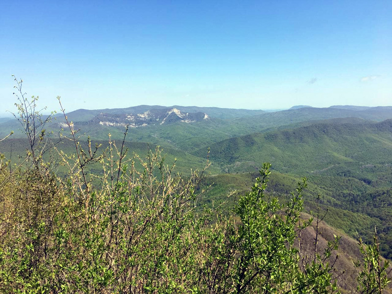 Робинзонада. Папайские гонки – детская программа, Краснодарский край. Путевки на детские программы на 2026 год, фото 8