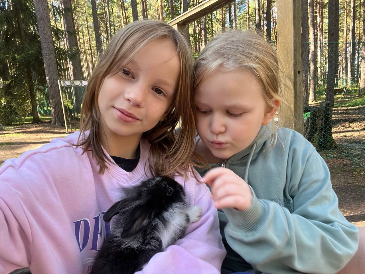 «Оздоровительный лагерь с бассейном Актив», Ленинградская обл., Приозерский р-н – 6.