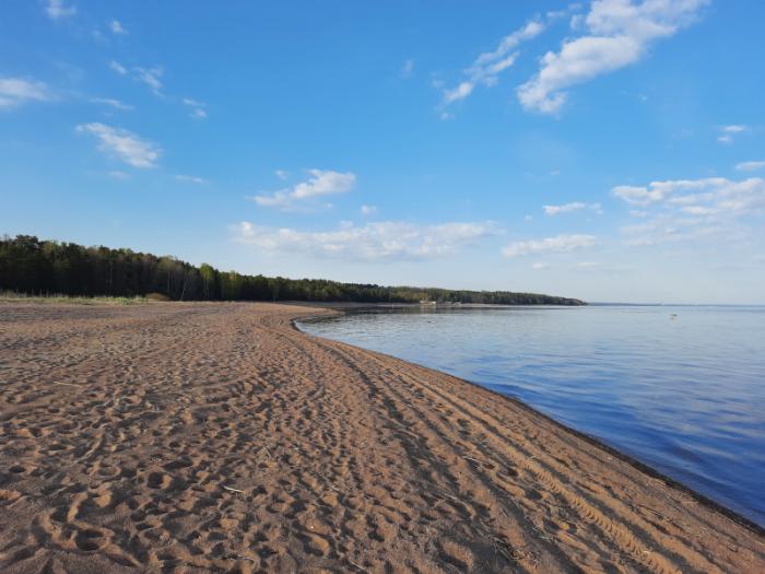 AzimovCamp в ДОЛ Буревестник – IT и математический лагерь, Санкт-Петербург, Курортный р-н. Путевки в детский лагерь на 2026 год, фото размещения 7