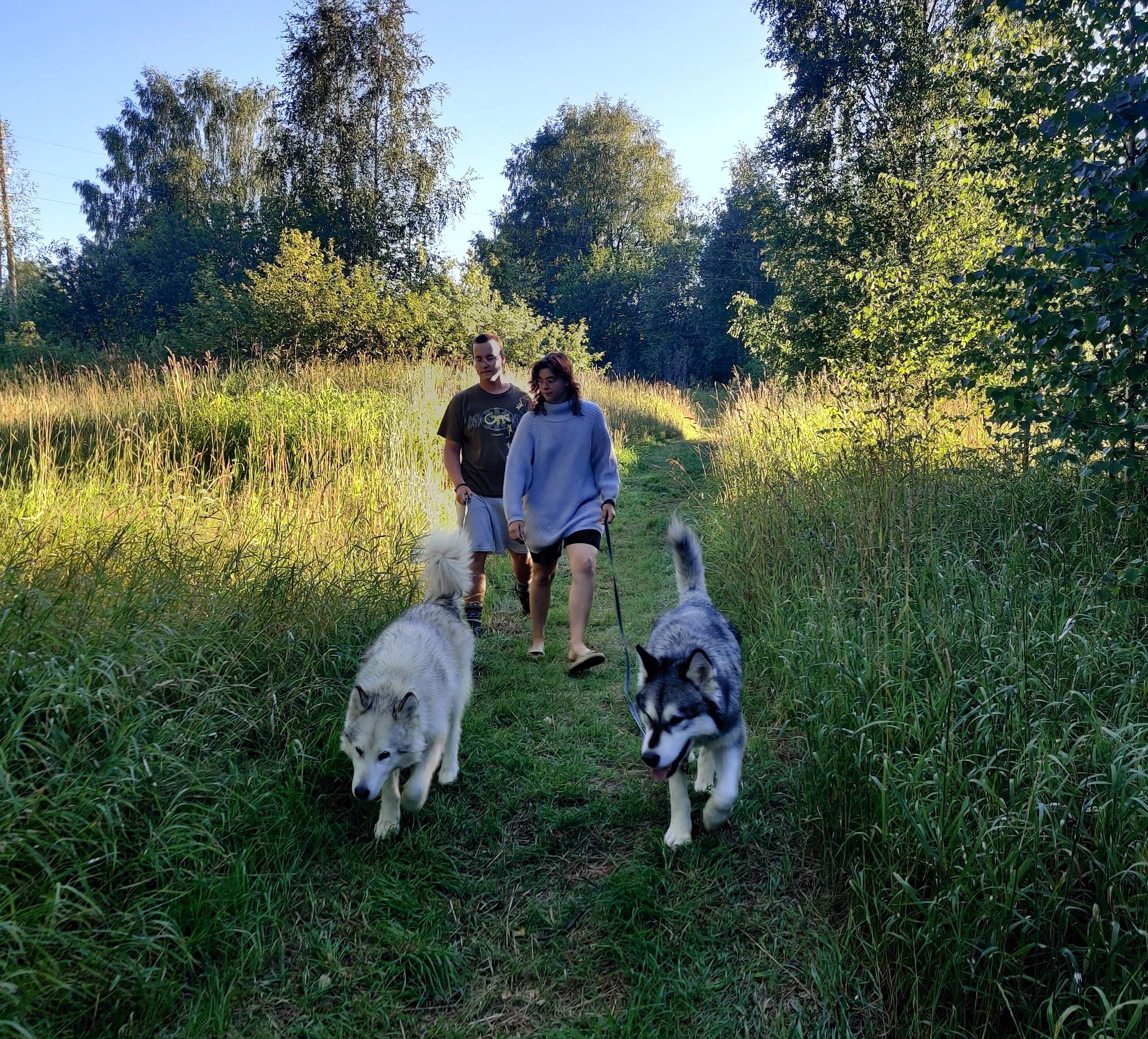 «Зов Севера. Летняя стоянка. Коллекция Приключений», Костромская обл., Судиславский р-н – 2.