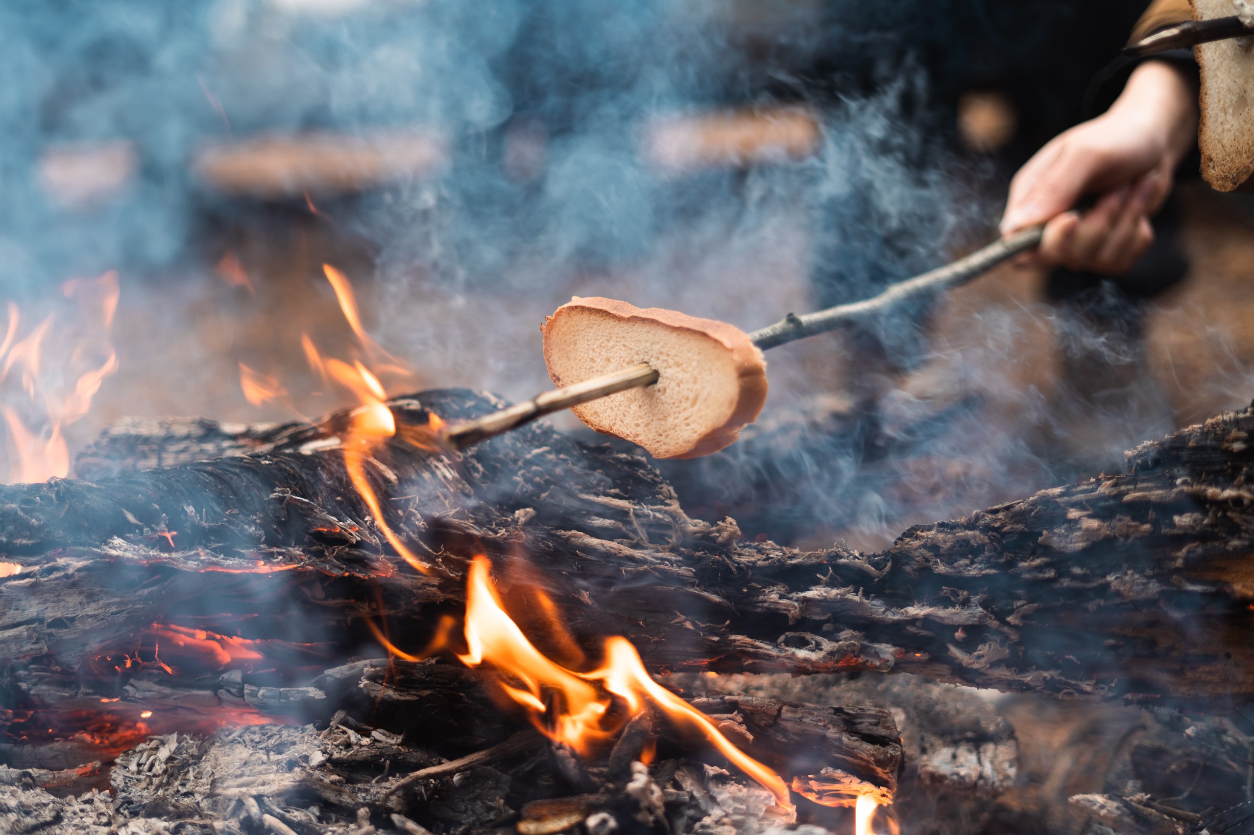Terra Nostra Camp – туристический лагерь, Московская обл., Шатура. Путевки в детский лагерь на 2025-2026 год, фото 10