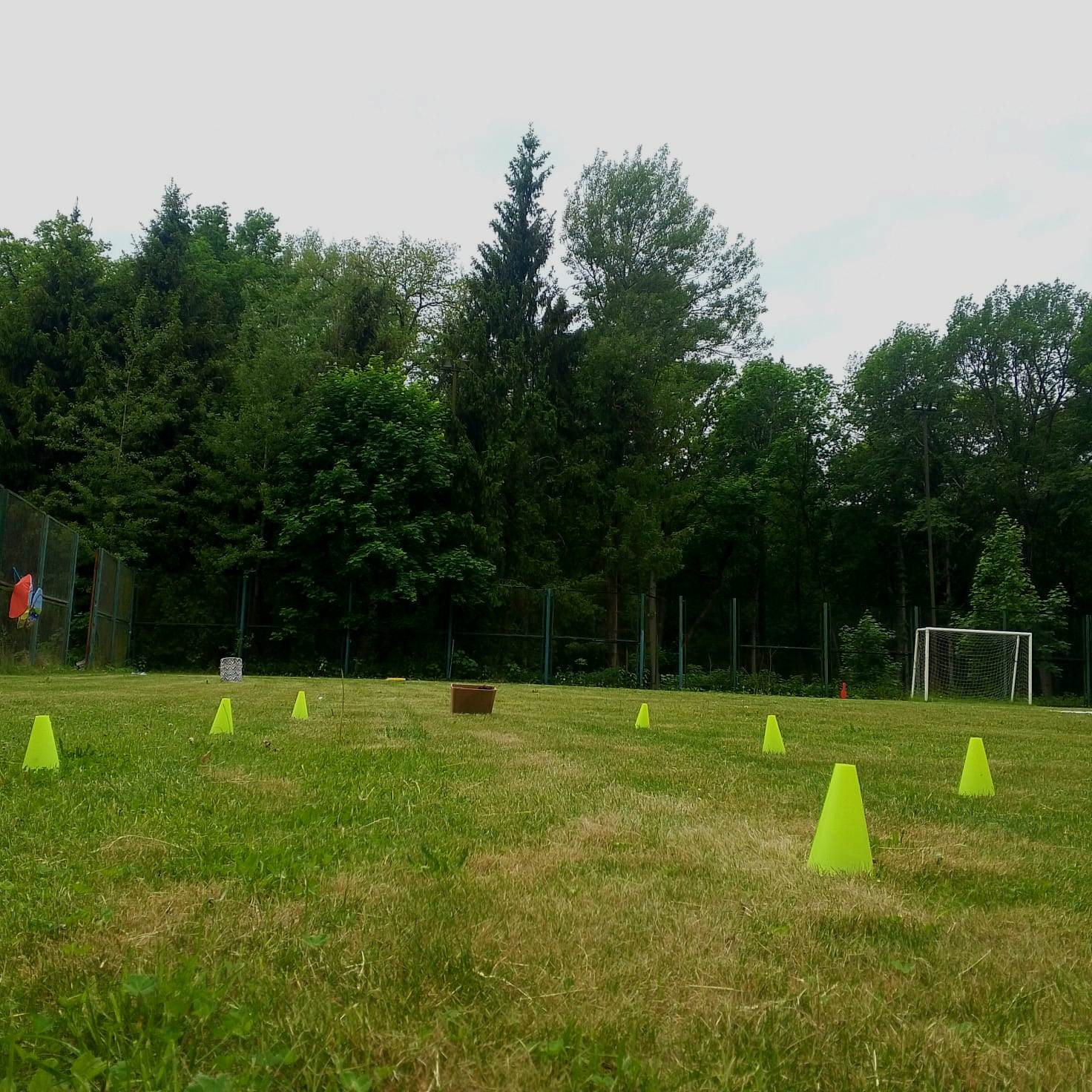 Logo Polis. Розендорф – творческий лагерь, Московская обл., Воскресенск. Путевки в детский лагерь на 2026 год, фото размещения 9