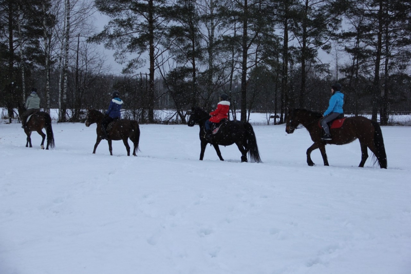«Horse Paradise. Зимний» – спортивный лагерь, Владимирская обл., Петушинский район. Путевки в детский лагерь на 2023 год, фото 6
