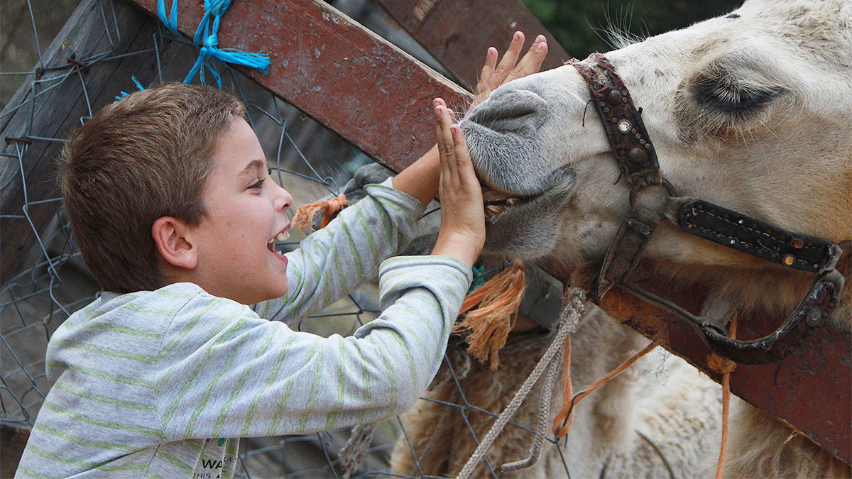 Вождь краснокожих – спортивный лагерь, Краснодарский край, Анапа, с. Сукко. Путевки в детский лагерь на 2026 год, фото программы 7