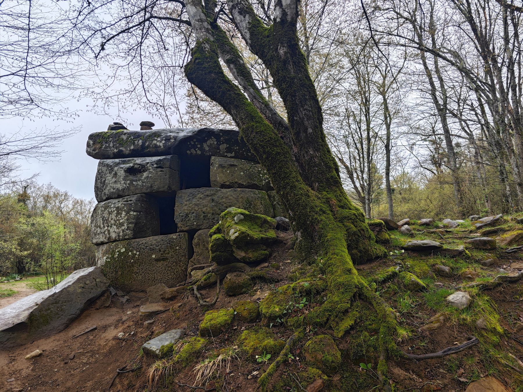 Вершины мира. Коллекция Приключений – детская программа, Краснодарский край, Геленджик. Путевки на детские программы на 2026 год, фото 10