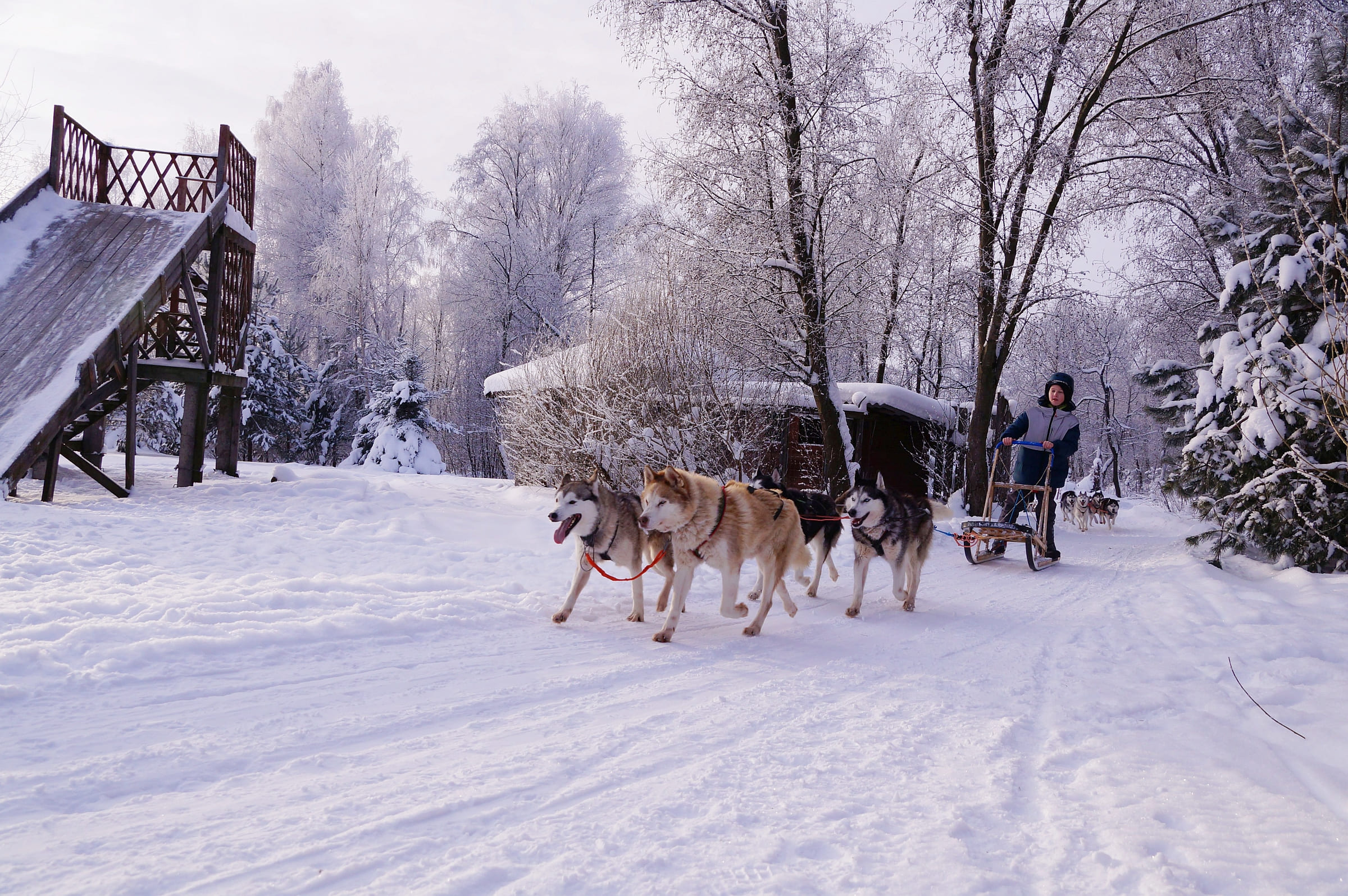 Зов Севера. Коллекция Приключений – туристический лагерь, Костромская обл., Нейский р-н. Путевки в детский лагерь на 2026 год, фото 4