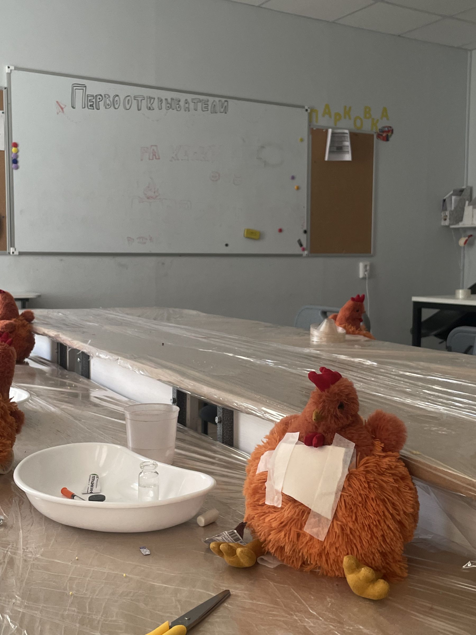 Sciencely. Летние городские лаборатории – детская программа, Самара. Путевки на детские программы на 2026 год, фото размещения 2