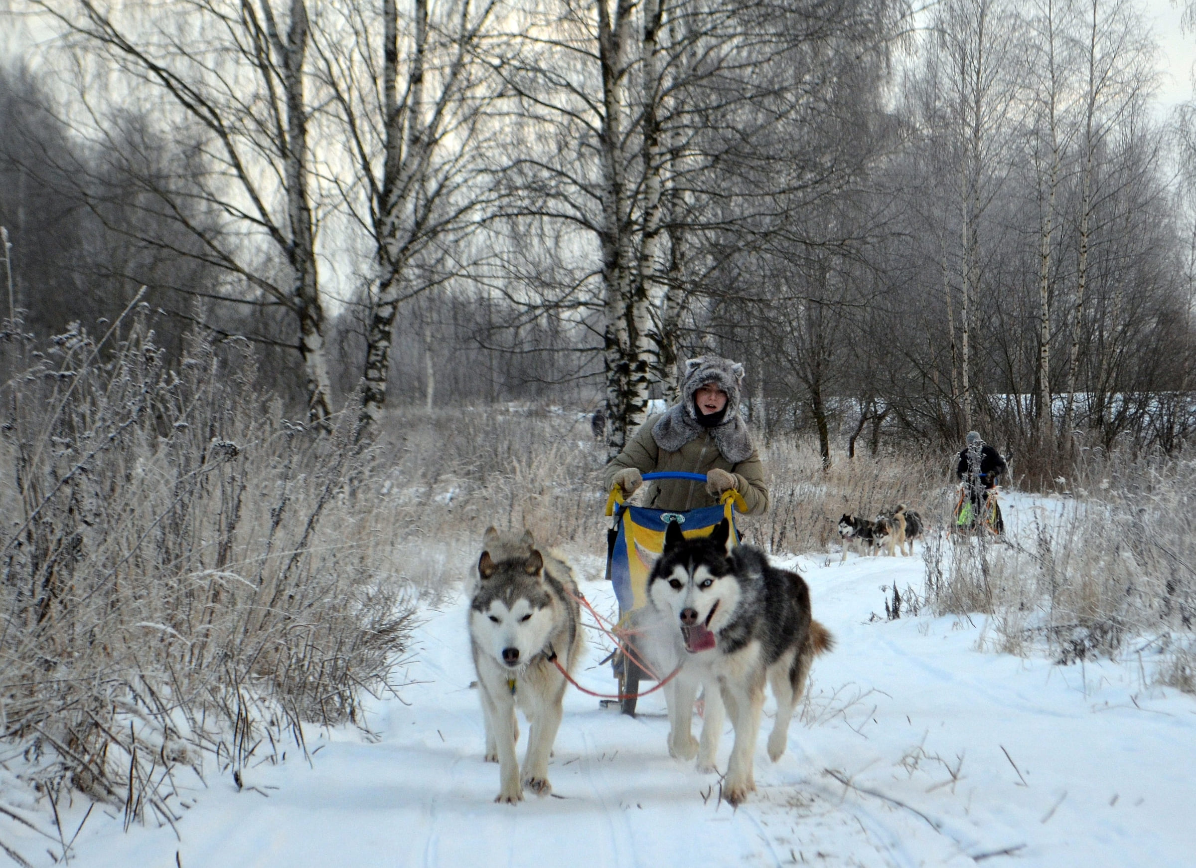 Зов Севера. Коллекция Приключений – туристический лагерь, Костромская обл., Нейский р-н. Путевки в детский лагерь на 2026 год, фото 1