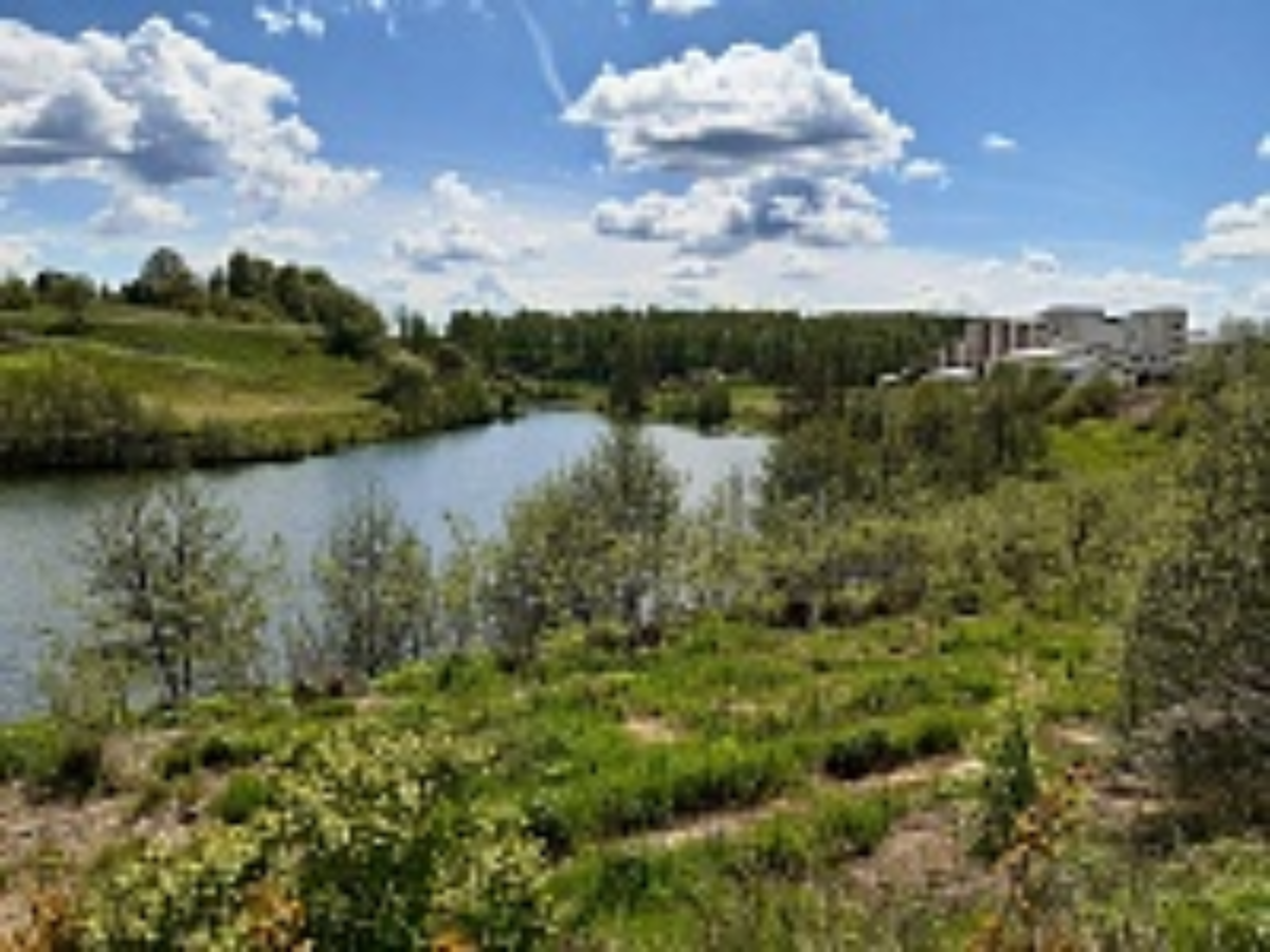 Junior Camp – языковой лагерь, Московская обл., Коломенский р-н. Путевки в детский лагерь на 2026 год, фото размещения 11