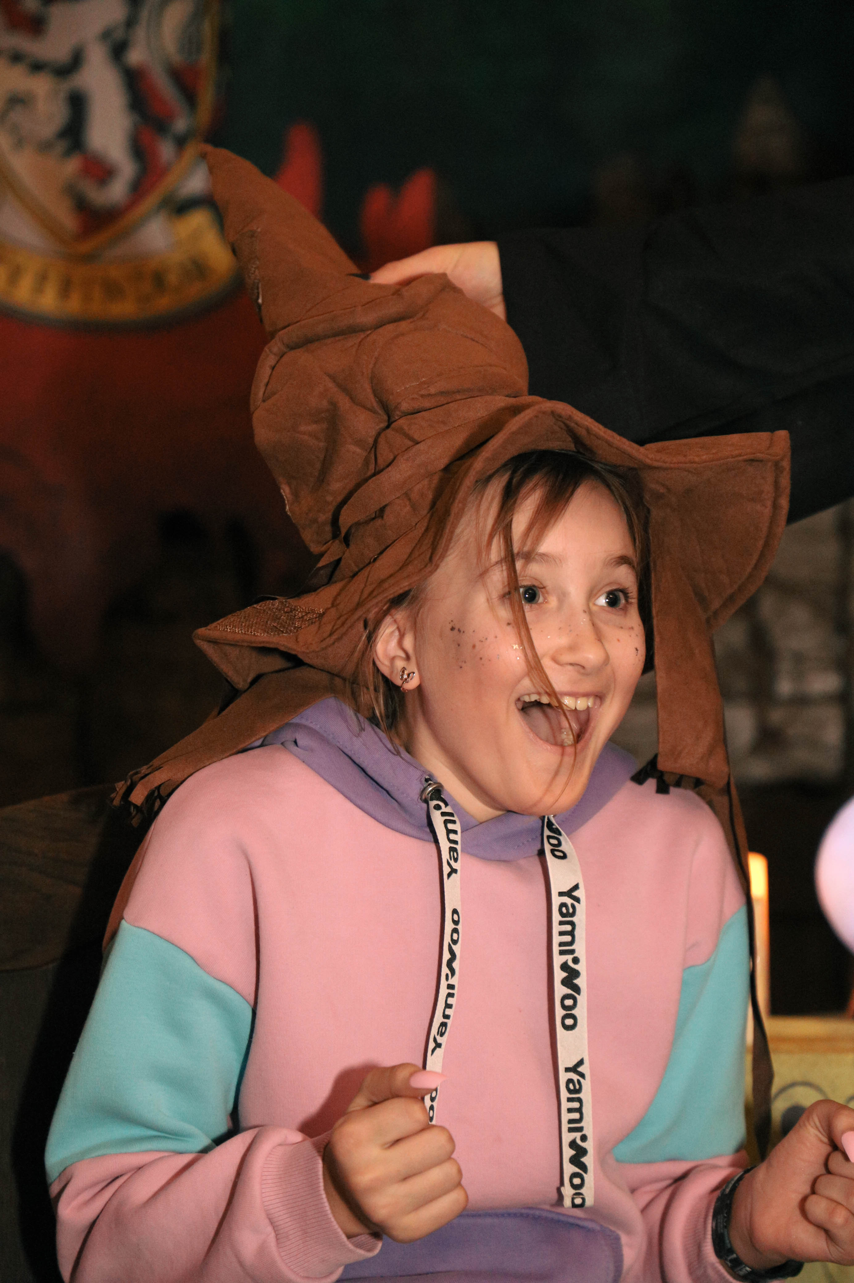 «Каникулы в Хогвартсе», Калининградская обл., Сосновка – 7.