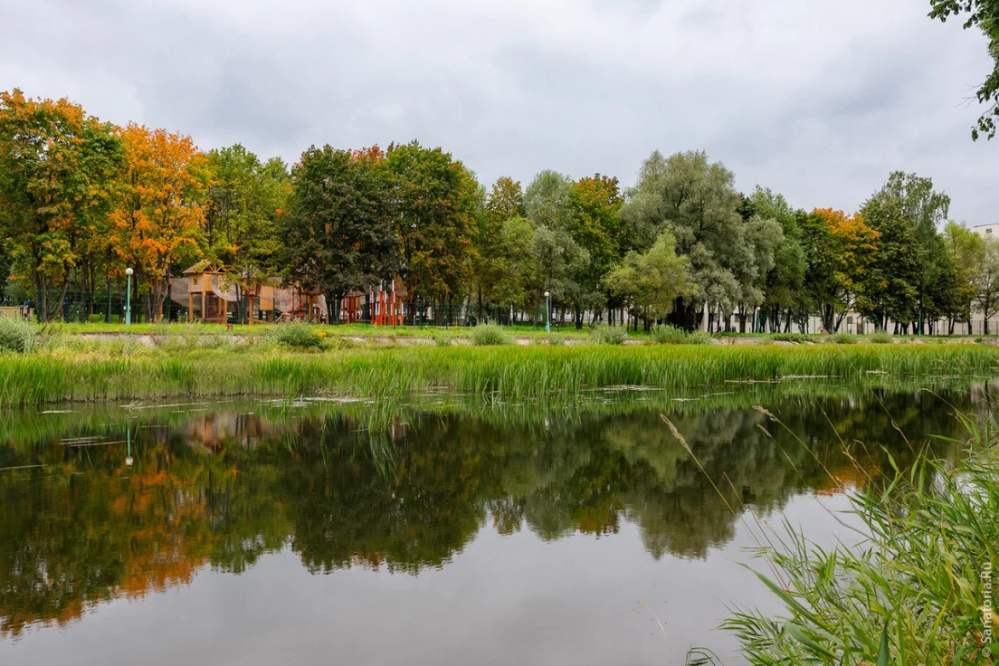 Oxford Camp Амакс 4* Classic – языковой лагерь, Московская обл., Истринский р-н. Путевки в детский лагерь на 2026 год, фото размещения 14