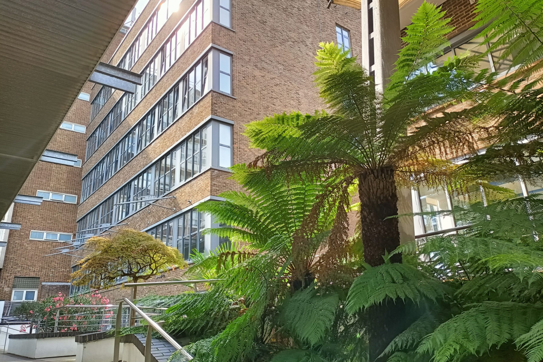 Oxford Camp Liverpool & London – языковой лагерь, Великобритания, Ливерпуль. Путевки в детский лагерь на 2026 год, фото размещения 10