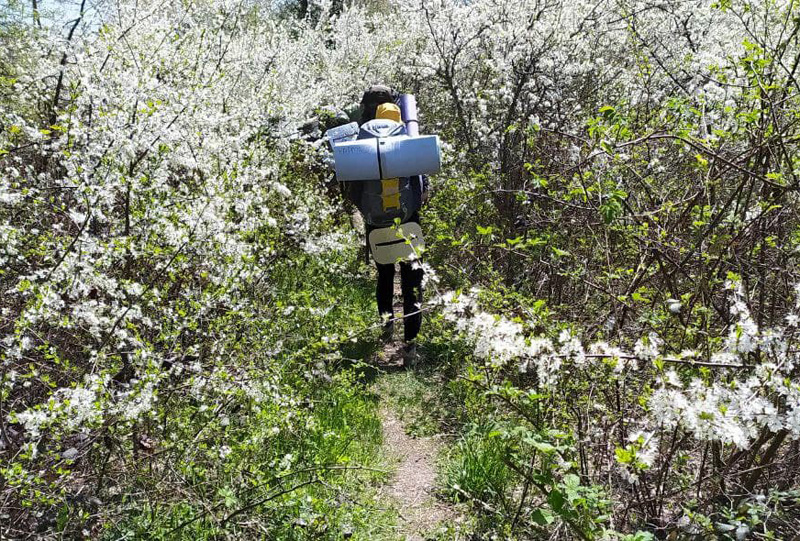 Робинзонада. Папайские гонки – детская программа, Краснодарский край. Путевки на детские программы на 2026 год, фото 9
