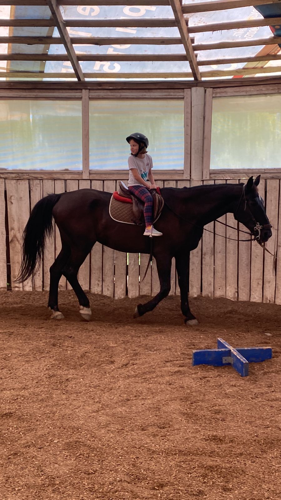 Кэмп Орбита – детская программа, Московская обл., Чеховский р-н. Путевки на детские программы на 2026 год, фото 8