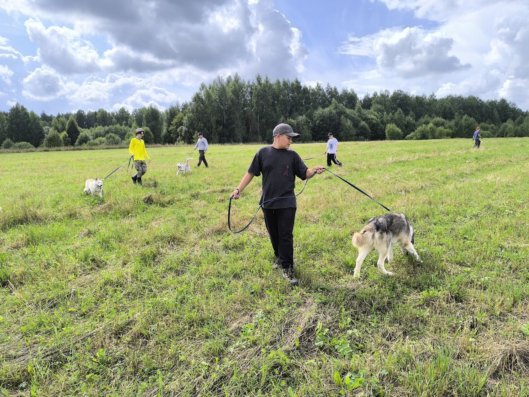 Зов Севера. Верное сердце. Коллекция приключений – детская программа, Костромская обл., Литвиново. Путевки на детские программы на 2026 год, фото 10