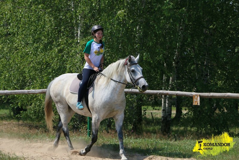 «Лагерь Командор» – Детский конный лагерь в Калужской области, фото обучения 6