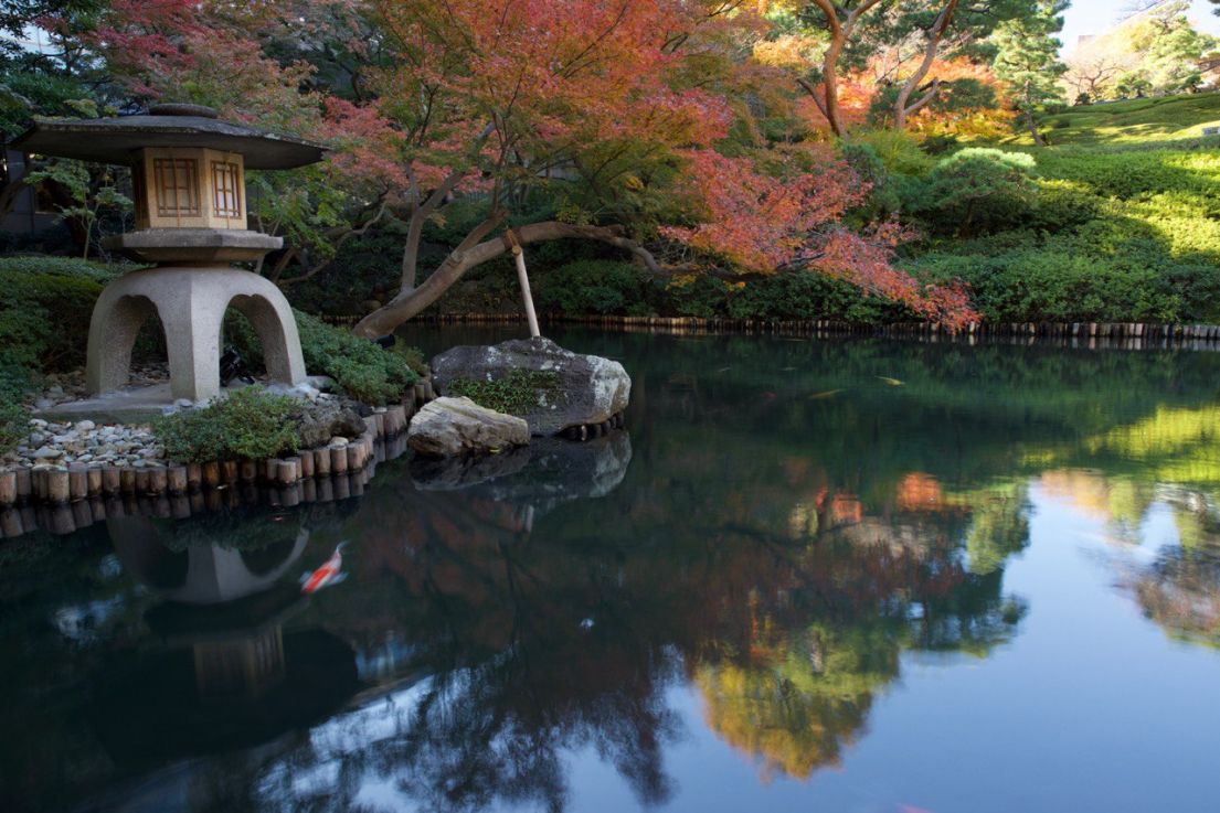 Oxford Camp Япония – международный лагерь, Япония, Токио. Путевки в детский лагерь на 2026 год, фото программы 4