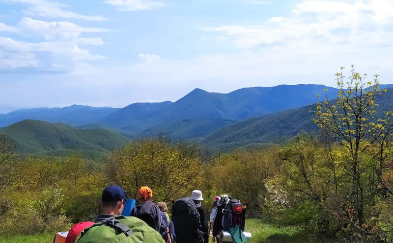 Робинзонада. Папайские гонки – детская программа, Краснодарский край. Путевки на детские программы на 2026 год, фото 13