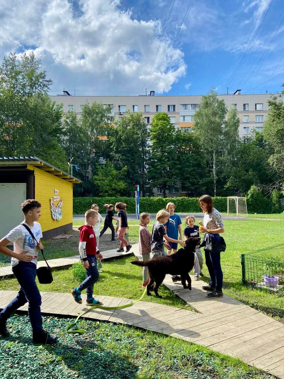 Летний лагерь Международной Школы Смешанного Обучения  – городской лагерь, Москва, м. Калужская, м. Беляево. Путевки в детский лагерь на 2026 год, фото 4