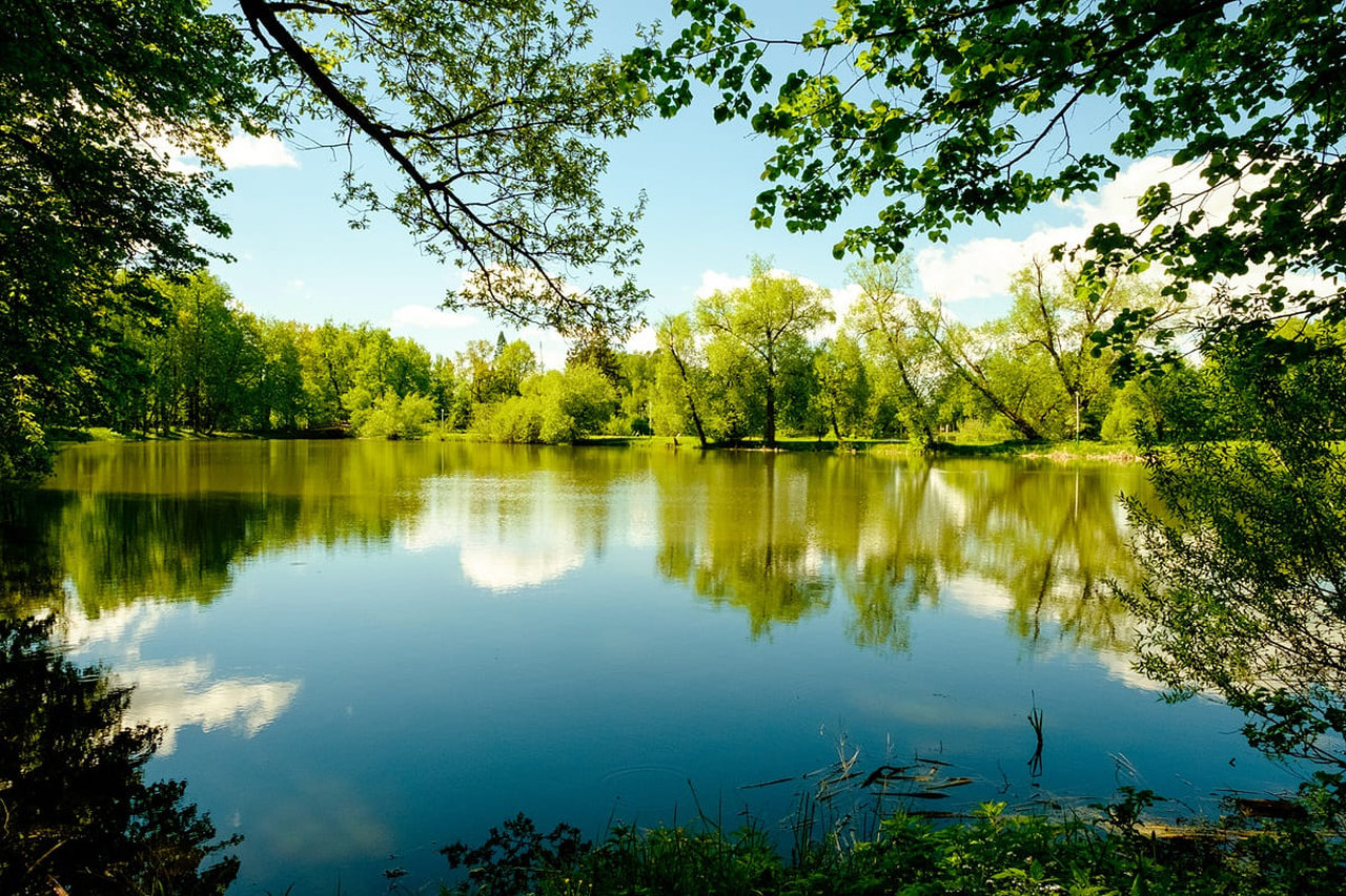 Летние театральные сборы студии Ирбис в Подмосковье – творческий лагерь, Московская обл., 2 локации. Путевки в детский лагерь на 2026 год, фото размещения 10