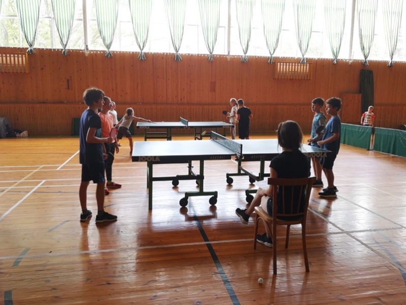 Сборы по настольному теннису – оздоровительный лагерь, Краснодарский край, Туапсинский р-н. Путевки в детский лагерь на 2024 год, фото 10