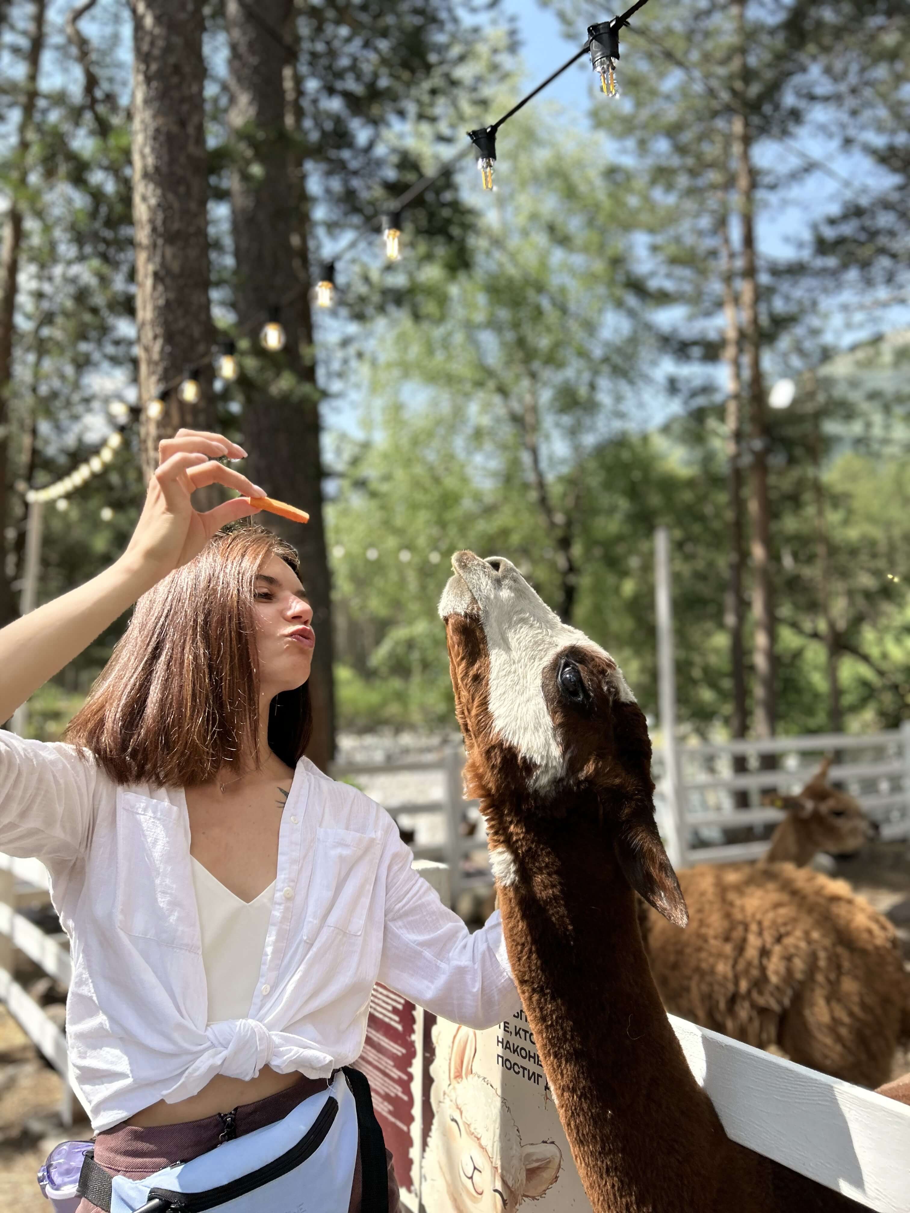 Sport Story в Приэльбрусье – детская программа, Кабардино-Балкария, Эльбрусский р-н. Путевки на детские программы на 2026 год, фото 9