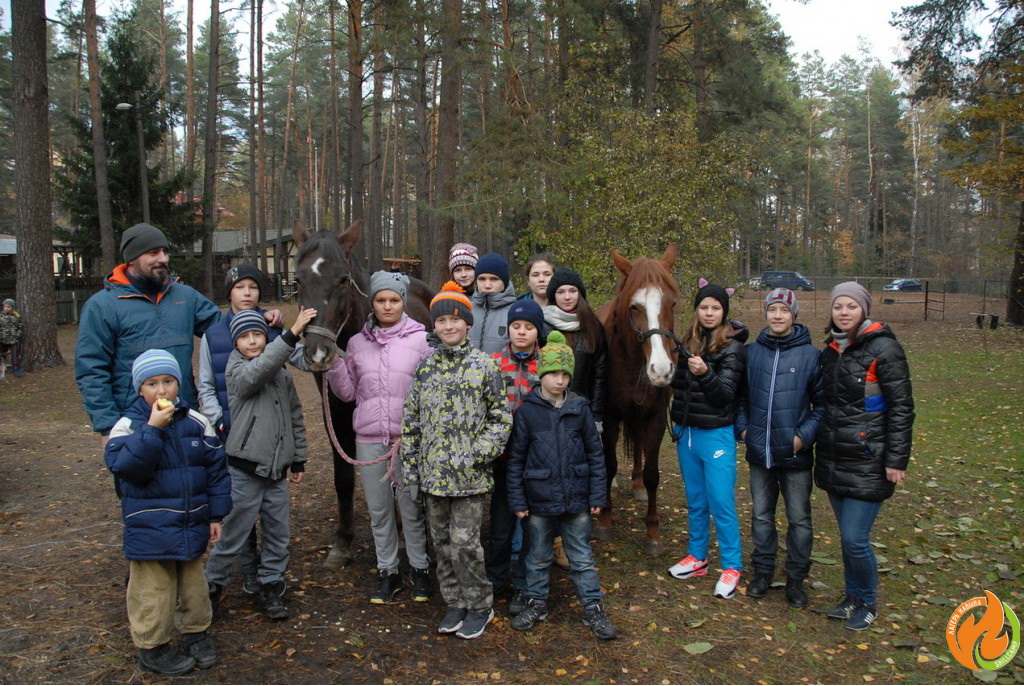 «Лагерь навыка. Подкова» – Детский лагерь в Беларуси, фото 2