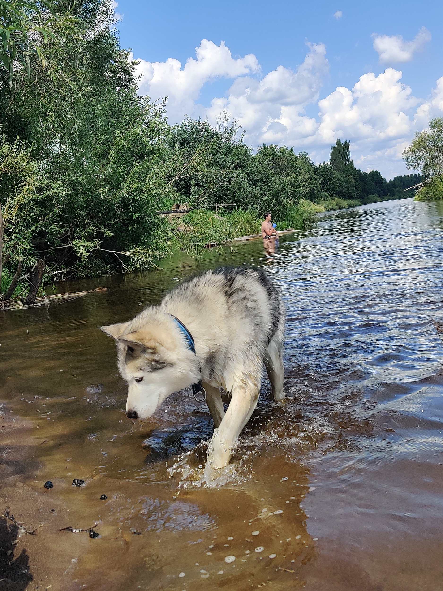 Зов Севера. Летняя стоянка. Коллекция Приключений – туристический лагерь, Костромская обл., Судиславский р-н. Путевки в детский лагерь на 2026 год, фото программы 5