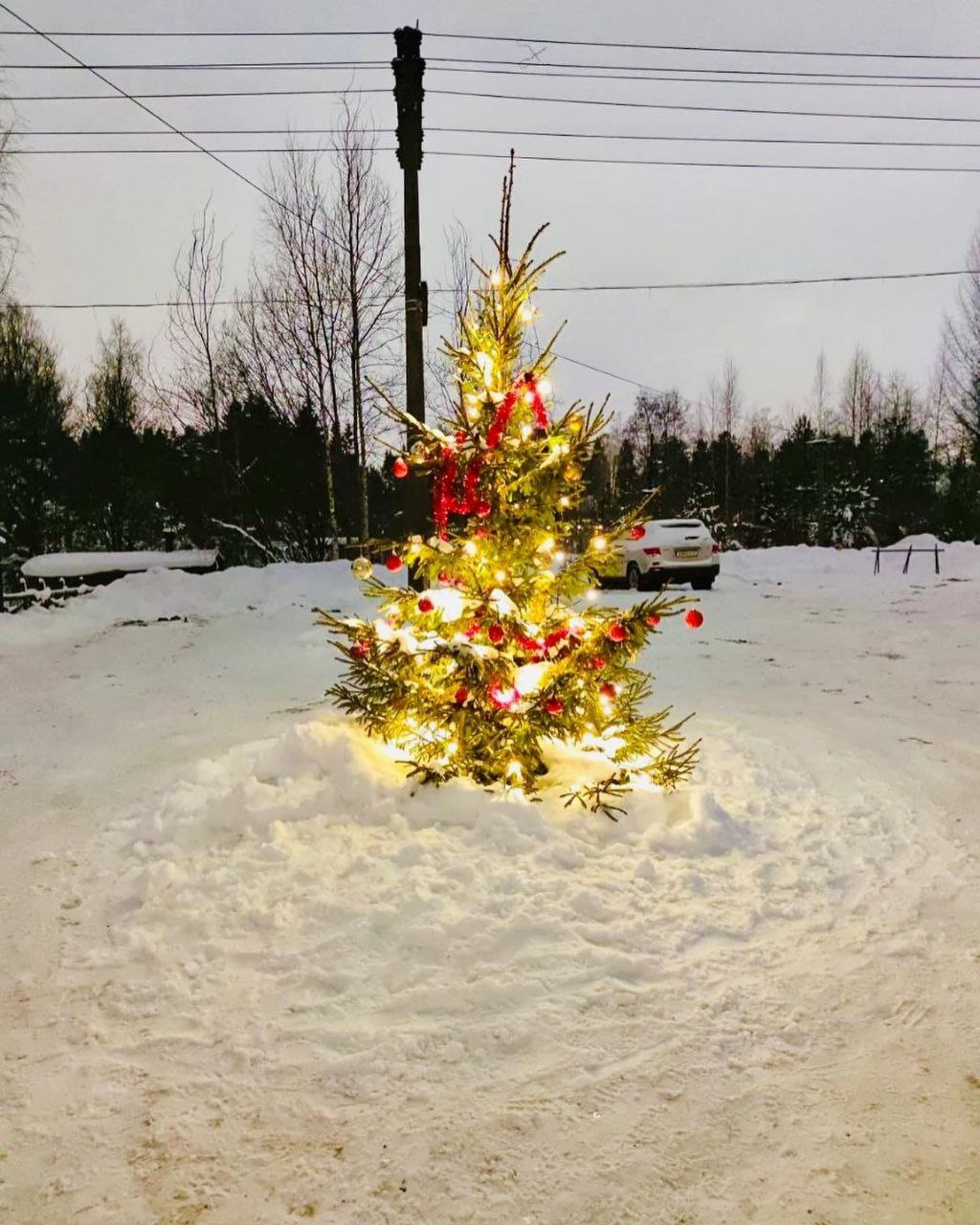 Конный лагерь Актив – спортивный лагерь, Ленинградская обл., Всеволожск. Путевки в детский лагерь на 2026 год, фото 9