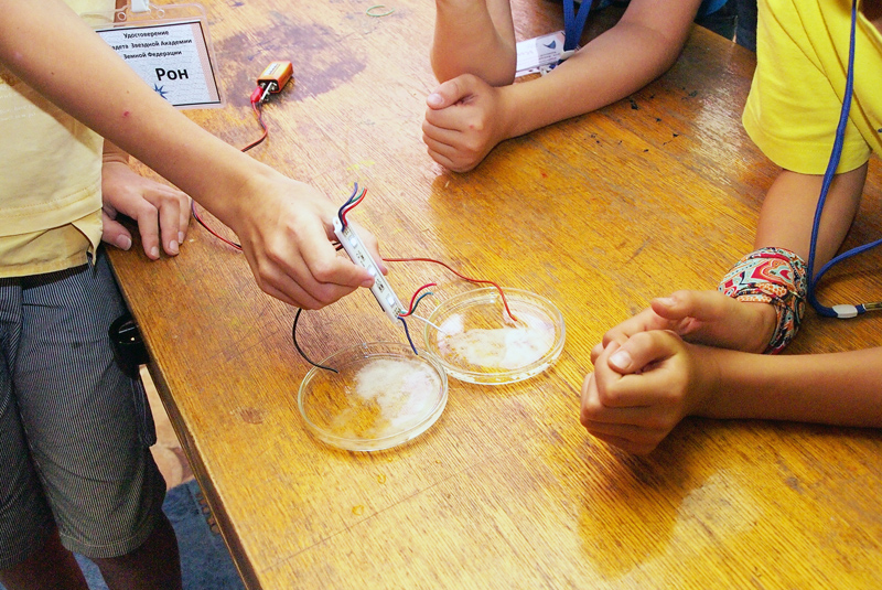 Робинзонада. Очевидное-невероятное – образовательный лагерь, Калужская обл., Жуковский р-н. Путевки в детский лагерь на 2026 год, фото 11