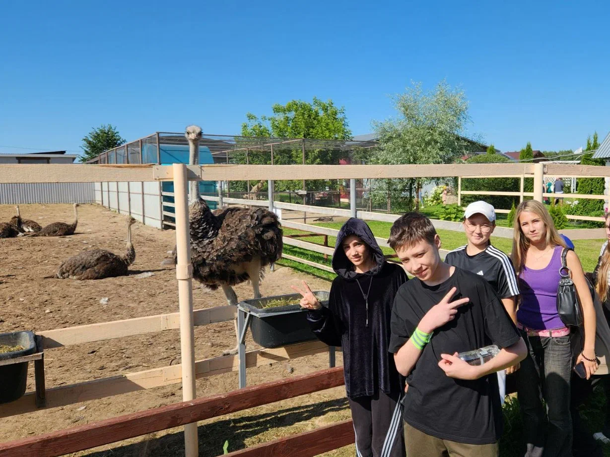 Детский городской клуб Киберлето – детская программа, Тюмень. Путевки на детские программы на 2026 год, фото 13