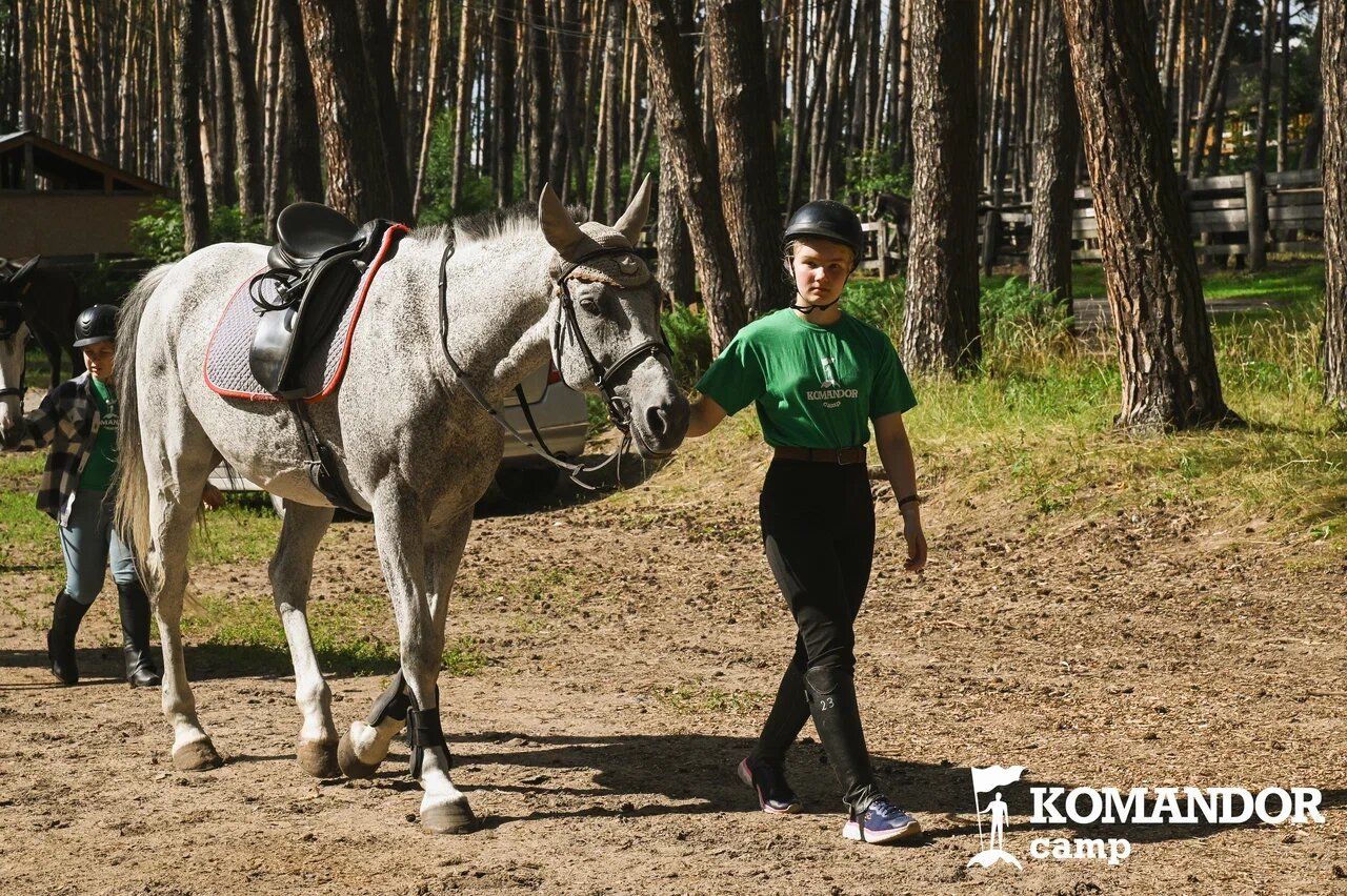Komandor Camp. Конный лагерь – спортивный лагерь, Калужская обл, Таруса . Путевки в детский лагерь на 2026-2027 год, фото программы 9
