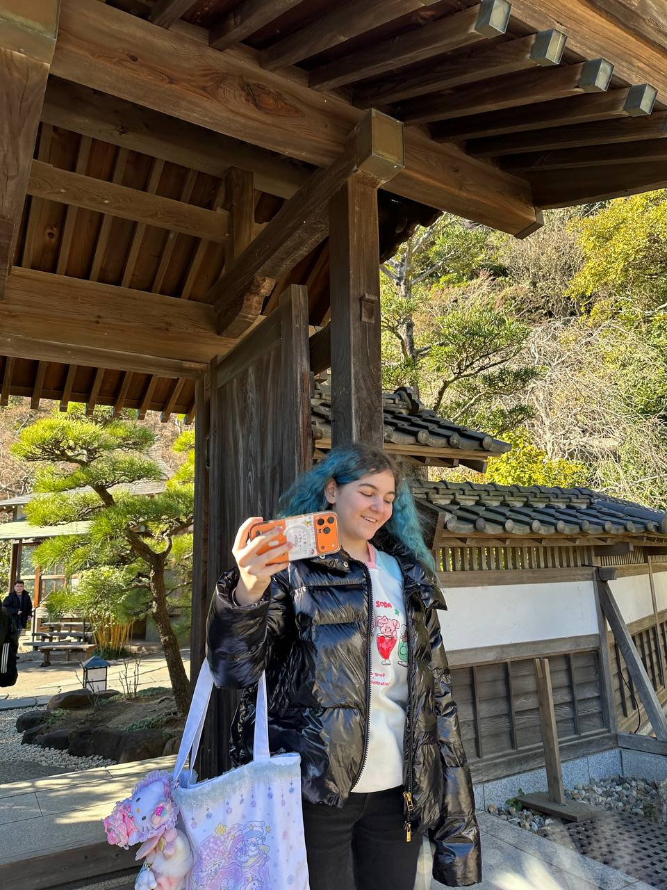 «Удивительная Япония», Япония, Токио – 6.