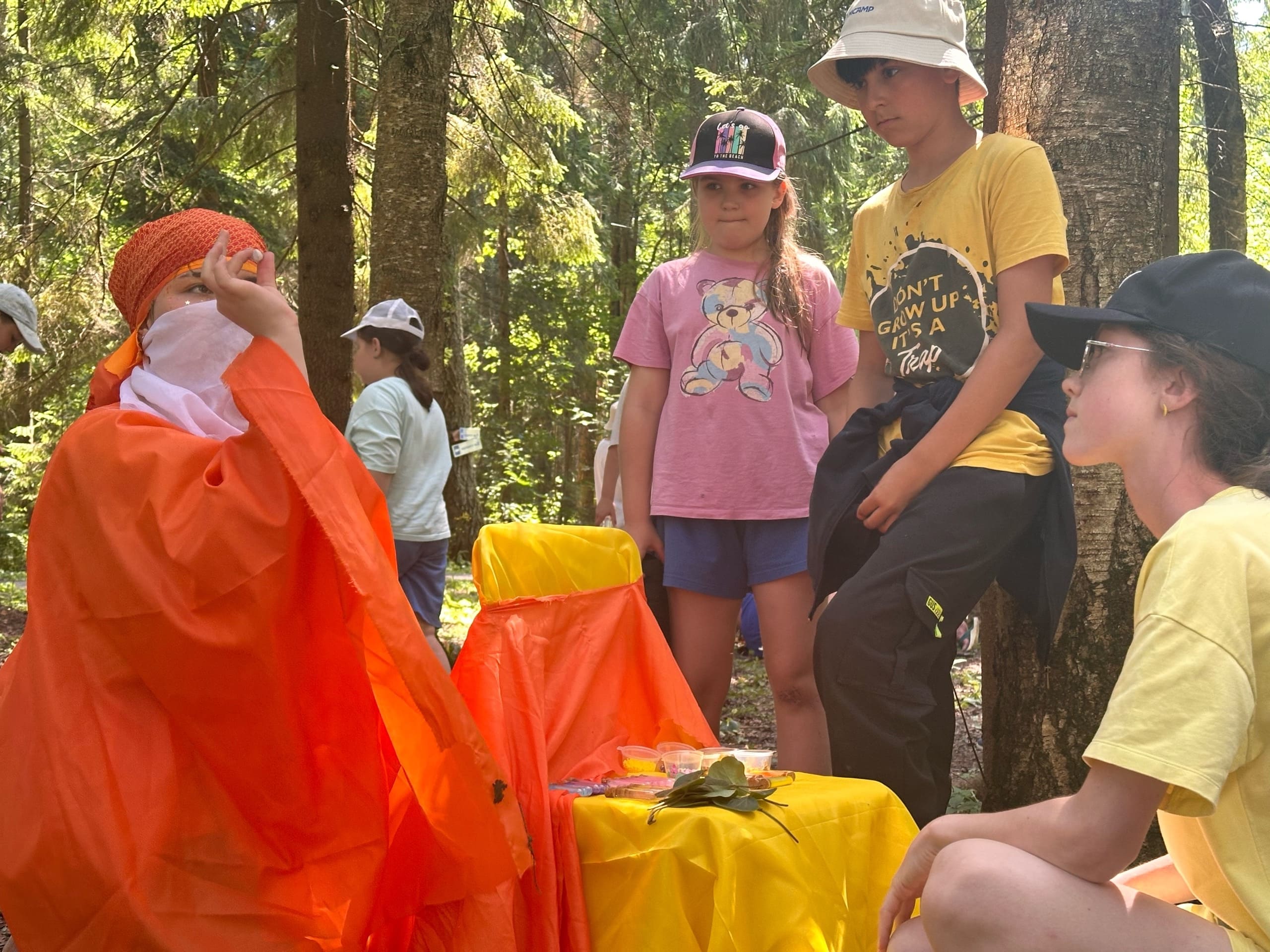 Наследие. Палаточный лагерь – палаточный лагерь, Владимирская обл., Александров. Путевки в детский лагерь на 2026 год, фото программы 13