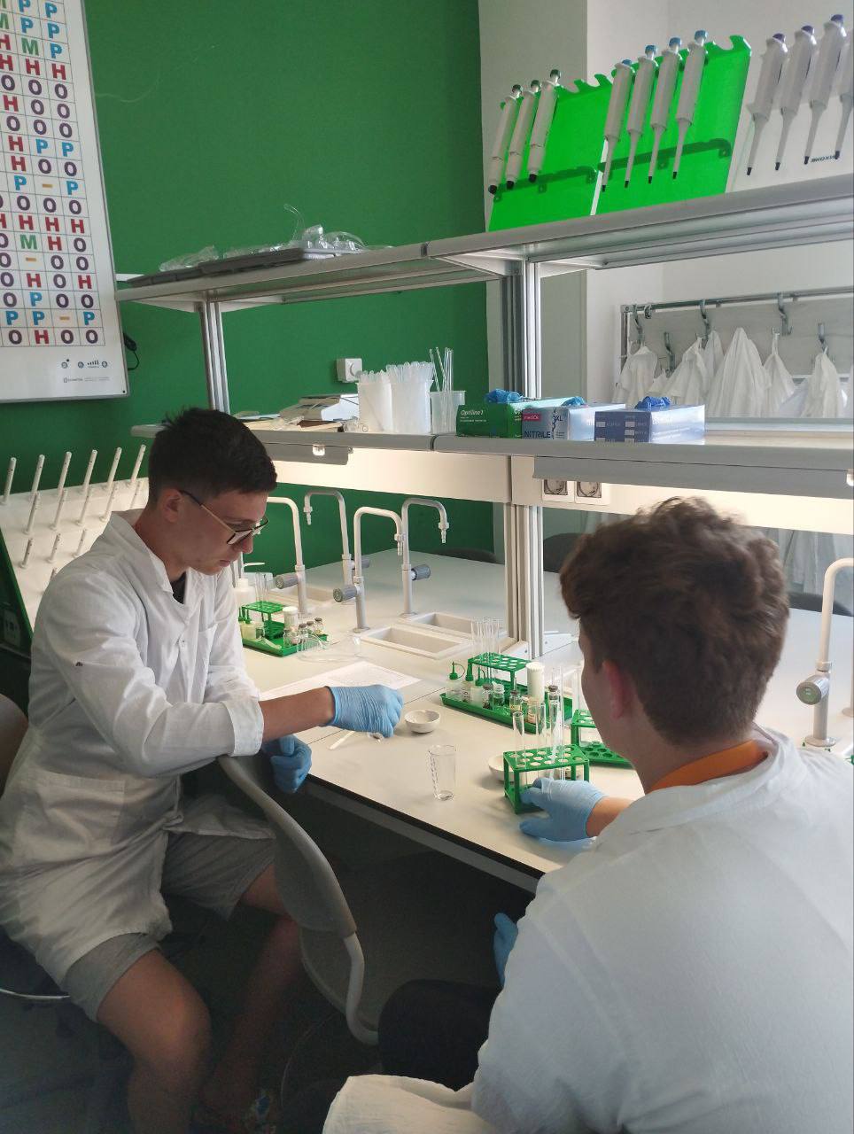 Первая Интеллект школа Корифей + Сириус – образовательный лагерь, Краснодарский край, Сочи. Путевки в детский лагерь на 2026 год, фото 5