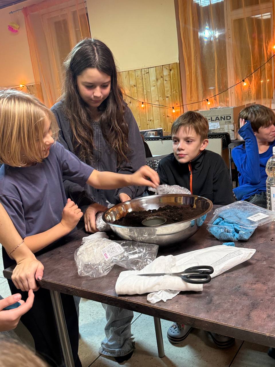 «Яркие каникулы в Ленинградской области», Ленинградская обл., Выборгский р-н – 4.