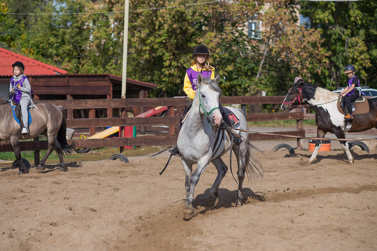 «Конная программа Ранчо», Самарская обл., Ставропольский р-н – 1.