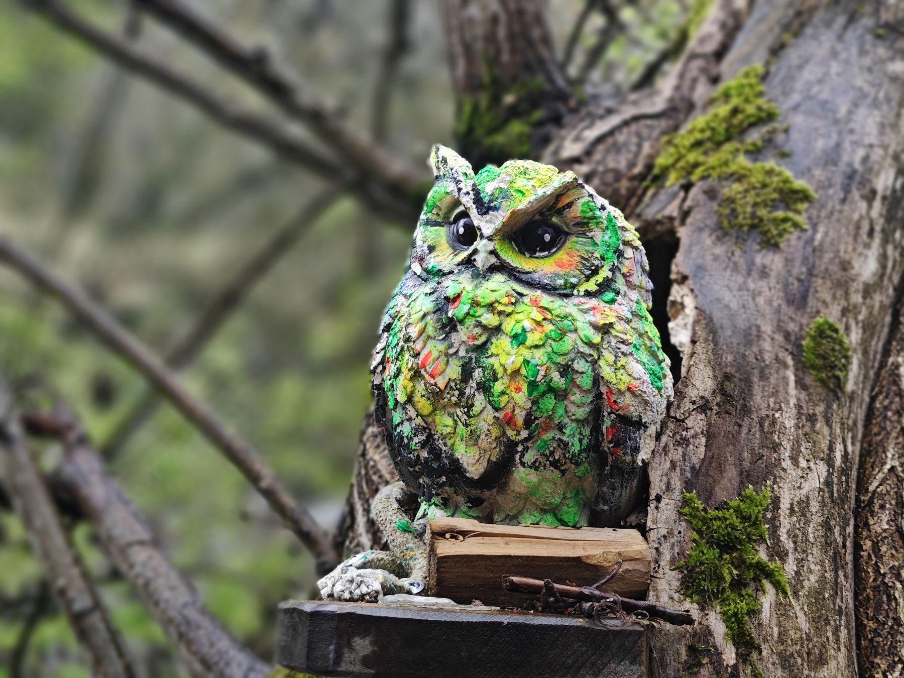 Вершины мира. Коллекция Приключений – детская программа, Краснодарский край, Геленджик. Путевки на детские программы на 2026 год, фото программы 10